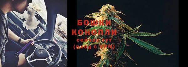 каннабис Корсаков