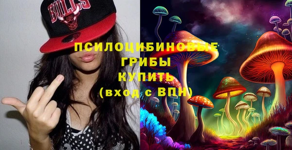 бошки Костерёво