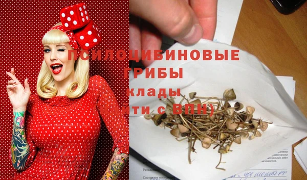 гидра Кодинск