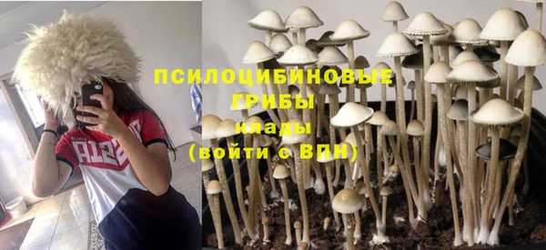 каннабис Корсаков