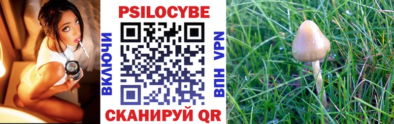 МЕГА вход  Называевск  Псилоцибиновые грибы мицелий  продажа наркотиков 